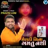 About Meldi Vina Gamtu Nathi Song